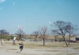 凧揚げの画像