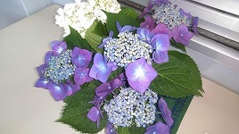 ９