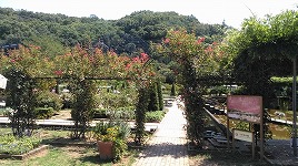 ２