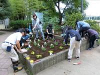 花壇の植え替え