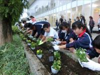 花壇の植え替え