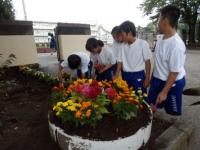 花壇の植え替え